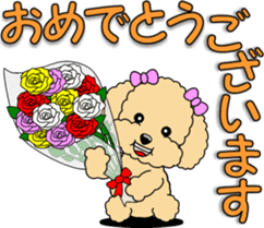 Congratulations sticker of Toy Poodle sticker #10830905