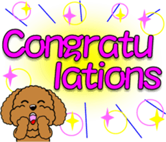 Congratulations sticker of Toy Poodle sticker #10830906