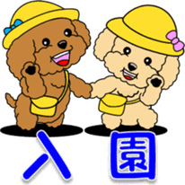 Congratulations sticker of Toy Poodle sticker #10830908