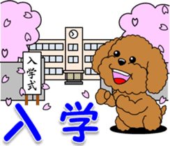 Congratulations sticker of Toy Poodle sticker #10830910