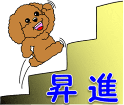 Congratulations sticker of Toy Poodle sticker #10830914