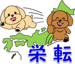 Congratulations sticker of Toy Poodle sticker #10830915