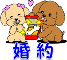 Congratulations sticker of Toy Poodle sticker #10830916