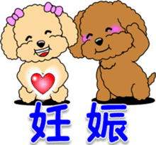 Congratulations sticker of Toy Poodle sticker #10830918