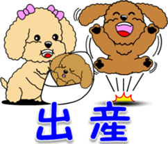 Congratulations sticker of Toy Poodle sticker #10830919