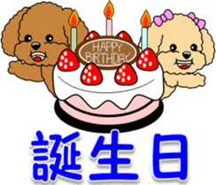 Congratulations sticker of Toy Poodle sticker #10830920