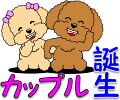 Congratulations sticker of Toy Poodle sticker #10830922