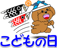 Congratulations sticker of Toy Poodle sticker #10830925