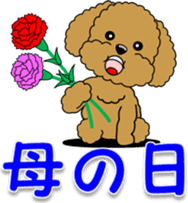Congratulations sticker of Toy Poodle sticker #10830926