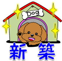 Congratulations sticker of Toy Poodle sticker #10830929