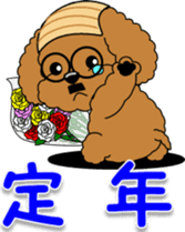 Congratulations sticker of Toy Poodle sticker #10830930