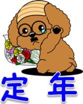 Congratulations sticker of Toy Poodle sticker #10830930