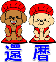Congratulations sticker of Toy Poodle sticker #10830931