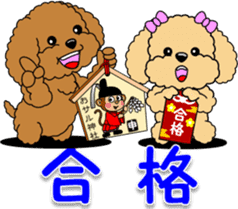 Congratulations sticker of Toy Poodle sticker #10830932