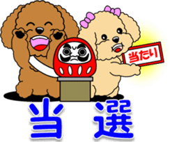 Congratulations sticker of Toy Poodle sticker #10830933