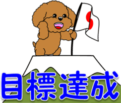 Congratulations sticker of Toy Poodle sticker #10830935