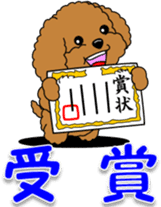 Congratulations sticker of Toy Poodle sticker #10830937