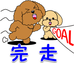 Congratulations sticker of Toy Poodle sticker #10830938