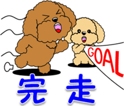 Congratulations sticker of Toy Poodle sticker #10830938