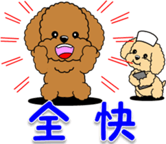 Congratulations sticker of Toy Poodle sticker #10830941