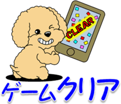 Congratulations sticker of Toy Poodle sticker #10830943