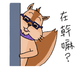 Nerdy squirrel daily life sticker #10832369