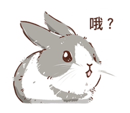 Adorable bunny's 2 sticker #10833627