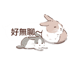 Adorable bunny's 2 sticker #10833633