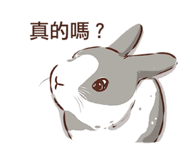Adorable bunny's 2 sticker #10833634