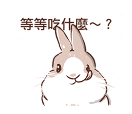 Adorable bunny's 2 sticker #10833638