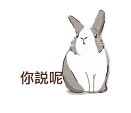 Adorable bunny's 2 sticker #10833640
