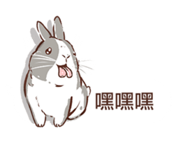 Adorable bunny's 2 sticker #10833645