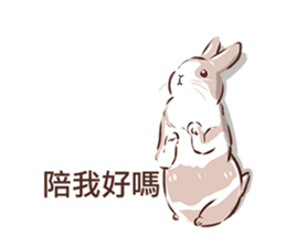 Adorable bunny's 2 sticker #10833646
