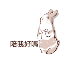 Adorable bunny's 2 sticker #10833646