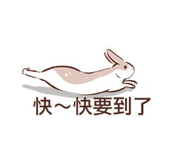 Adorable bunny's 2 sticker #10833652