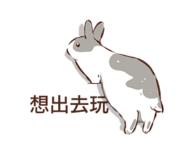 Adorable bunny's 2 sticker #10833654