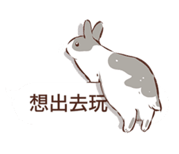 Adorable bunny's 2 sticker #10833654