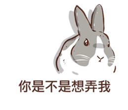 Adorable bunny's 2 sticker #10833656