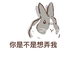 Adorable bunny's 2 sticker #10833656