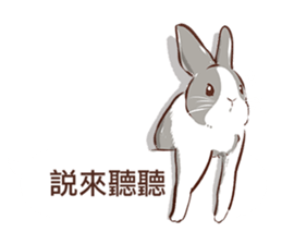 Adorable bunny's 2 sticker #10833658