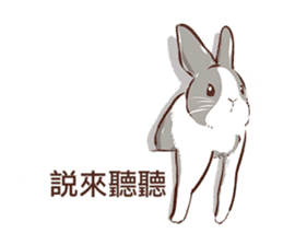 Adorable bunny's 2 sticker #10833658