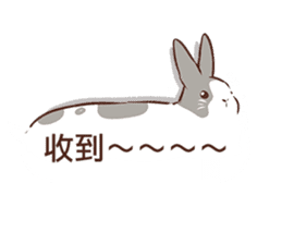 Adorable bunny's 2 sticker #10833661