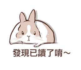Adorable bunny's 2 sticker #10833662