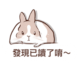 Adorable bunny's 2 sticker #10833662