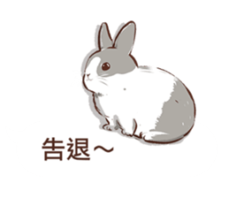 Adorable bunny's 2 sticker #10833663