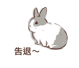 Adorable bunny's 2 sticker #10833663