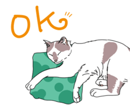 center pattern cat sticker #10834304