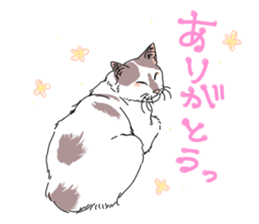 center pattern cat sticker #10834306