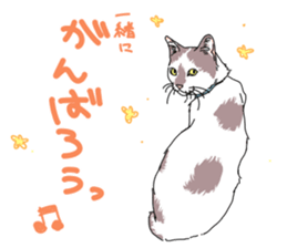 center pattern cat sticker #10834307