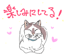 center pattern cat sticker #10834309